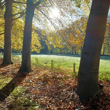 Met Omheinde Tuin Op De Veluwe *