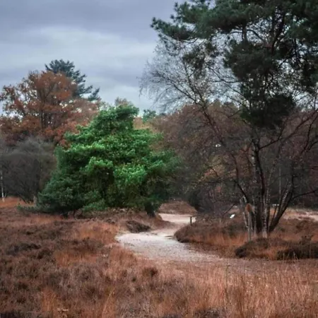 Met Omheinde Tuin Op De Veluwe * Hulshorst