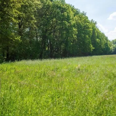 Casa de Férias Met Omheinde Tuin Op De Veluwe Hulshorst