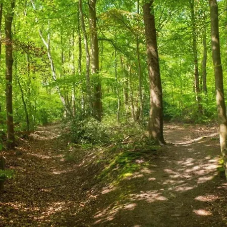 Met Omheinde Tuin Op De Veluwe * Hulshorst