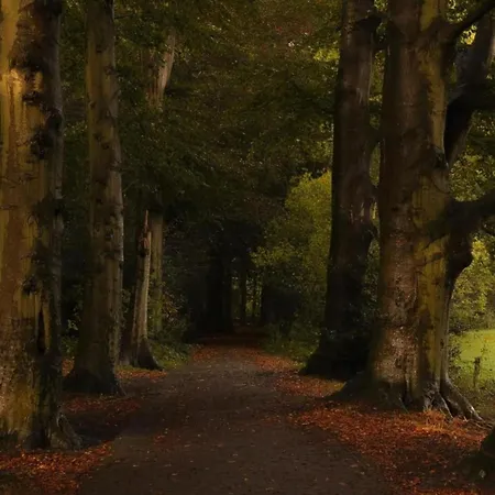 Casa de Férias Met Omheinde Tuin Op De Veluwe *