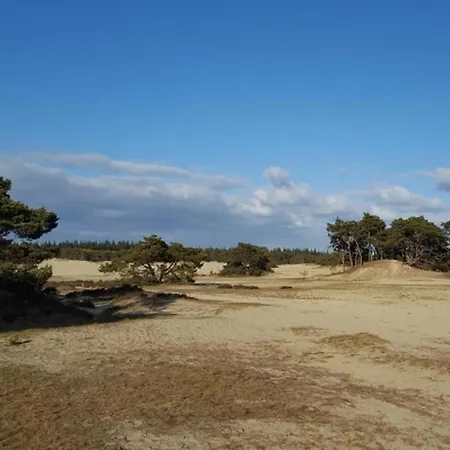 Met Omheinde Tuin Op De Veluwe Casa de Férias *