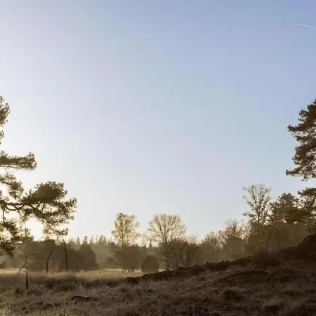 Met Omheinde Tuin Op De Veluwe