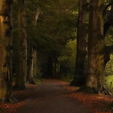 Met Omheinde Tuin Op De Veluwe Casa de Férias *