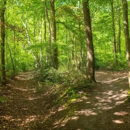 Met Omheinde Tuin Op De Veluwe Casa de Férias *