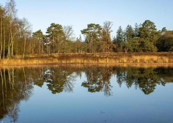 Met Omheinde Tuin Op De Veluwe * Hulshorst