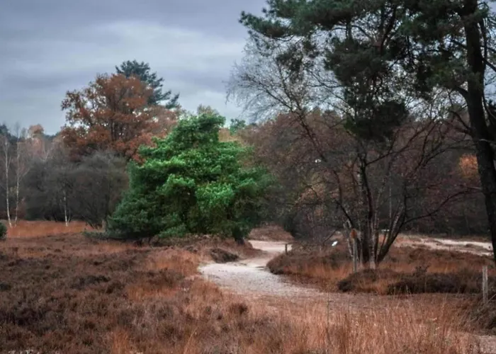 Met Omheinde Tuin Op De Veluwe * Hulshorst