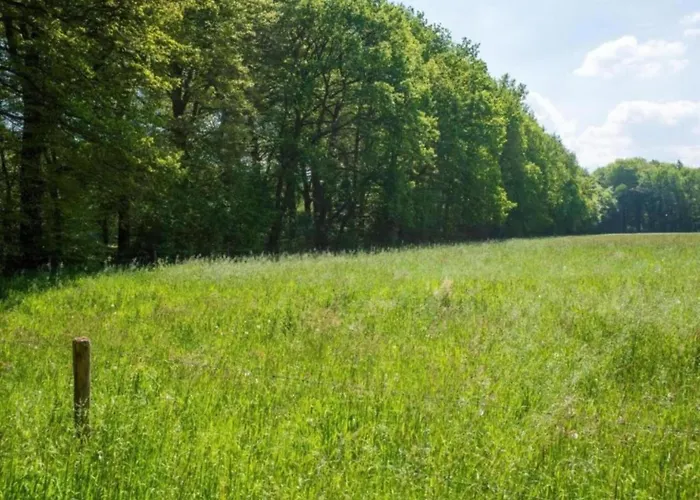 Сasa de vacaciones Met Omheinde Tuin Op De Veluwe Hulshorst