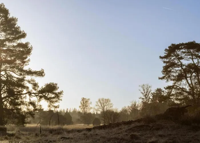 Сasa de vacaciones Met Omheinde Tuin Op De Veluwe Hulshorst