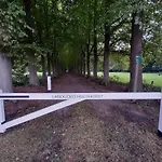 Met Omheinde Tuin Op De Veluwe Vakantiehuis Hulshorst