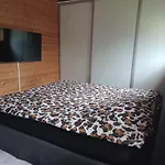 Vakantiehuis Met Omheinde Tuin Op De Veluwe