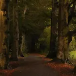 Vakantiehuis Met Omheinde Tuin Op De Veluwe *