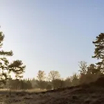 Vakantiehuis Met Omheinde Tuin Op De Veluwe Hulshorst