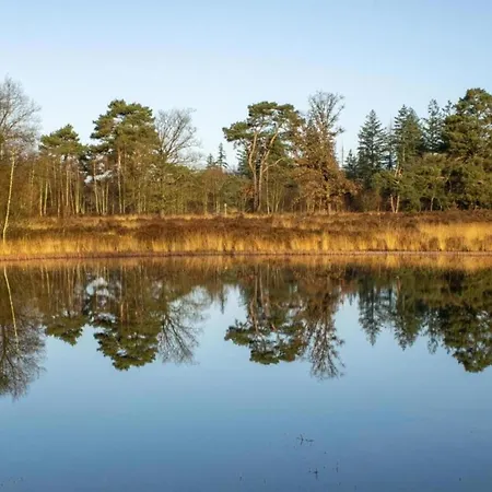 Met Omheinde Tuin Op De Veluwe * Hulshorst