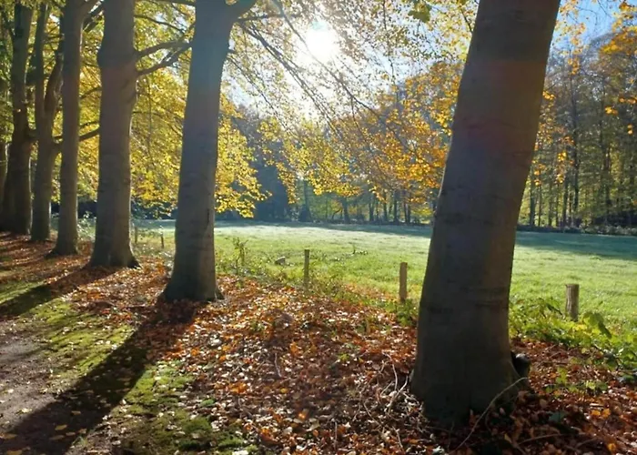 Met Omheinde Tuin Op De Veluwe *