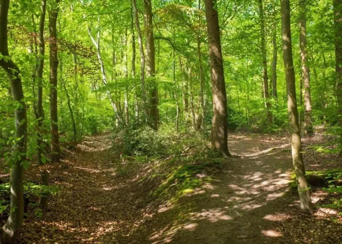 Met Omheinde Tuin Op De Veluwe * Hulshorst