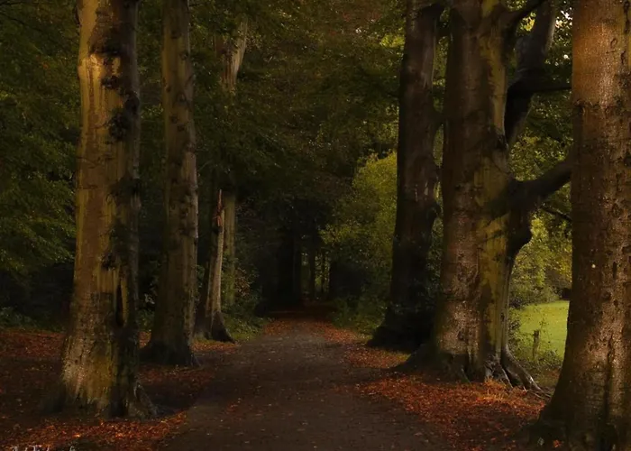 Dom wakacyjny Met Omheinde Tuin Op De Veluwe *